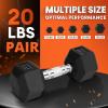Yes4All Chrome/Rubber Grip Encased Hex Dumbbells – Hand Weights With Anti-Slip 10-30 LBS Pair(D. 20lbs – Pair)