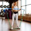 Yes4All Total Body Workout Weighted Bar, Resistance Band Bar, Racks for Strength Training, Exercise Bar for Yoga in Home and Gym – Single/Combo(M. 8lbs bar + 5 resistance bands)