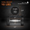 Yes4All Urethane Dumbbell with Anti-Slip Knurled Handle 5-50 LB for Muscle Building – Sold Individually(B. 10 Pounds)
