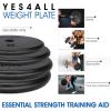 Yes4All 1 Inch Grip Cast Iron Weight Plates for Dumbbells – Standard Weight Plates – 20lb