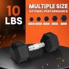 Yes4All Chrome Grip Encased Hex Dumbbells – Hand Weights With Anti-Slip 5-50 LBS Single(10 Pounds – Single)