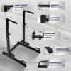 Yes4All Dip Stand 500 LBS Capacity, 80 Levels Adjustable Dip Bars, Dip Station Machine for Home Gym(Black)