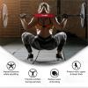 Yes4All Ergonomic Foam Bar Pad, Olympic Barbell Squat & Neck Pad for Squats, Hip Thrusts & Weight Lifting Bar(Red)