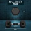 Yes4All Rubber Grip Encased Hex Dumbbell – Hand Weights With Anti-Slip 5-50 LBS Single(B. 10 Pounds)