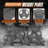 Yes4All Standard 1-Inch Grip Weight Plates, Cast Iron with Multiple Sizes from 2.5 lb to 35 lb for Strength Training, Weightlifting & Muscle Toning(D. 2x25LB)