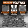 Yes4All Standard 1-Inch Grip Weight Plates, Cast Iron with Multiple Sizes from 2.5 lb to 35 lb for Strength Training, Weightlifting & Muscle Toning(H. 10LB)