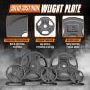 Yes4All Standard 1-Inch Grip Weight Plates, Cast Iron with Multiple Sizes from 2.5 lb to 35 lb for Strength Training, Weightlifting & Muscle Toning(I. 5LB)