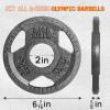 Yes4All Tri-Grip Handles Cast Iron Olympic Weight Plates, 2-Inch Weight Plates for Weight Lifting with Smooth and Durable Finish, Suitable for Strength Training Exercises (Single, Pair and Set)(F. 2.5LB (Pair – Gray))
