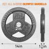 Yes4All Tri-Grip Handles Cast Iron Olympic Weight Plates, 2-Inch Weight Plates for Weight Lifting with Smooth and Durable Finish, Suitable for Strength Training Exercises (Single, Pair and Set)(D. 35LB (Single – Gray))
