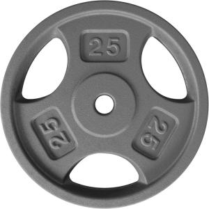 Yes4All Standard 1-Inch Grip Weight Plates, Cast Iron with Multiple Sizes from 2.5 lb to 35 lb for Strength Training, Weightlifting & Muscle Toning(G. 25LB)