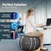 Yes4All Exercise Office, 400lbs Capacity Anti-Burst Yoga Weight Self-Standing Sitting Ball Chair with Hidden Seam Cover Convenient Handle & Pump Included, Standard, Dark Gray(Dark Gray)