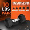 Yes4All Chrome Grip Encased Hex Dumbbells – Hand Weights With Anti-Slip 10-30 LBS Pair(A. 10 Pounds – Pair)